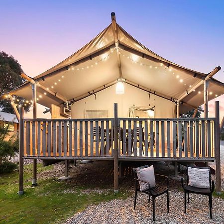 Scamander Sanctuary Holiday Park Buitenkant foto