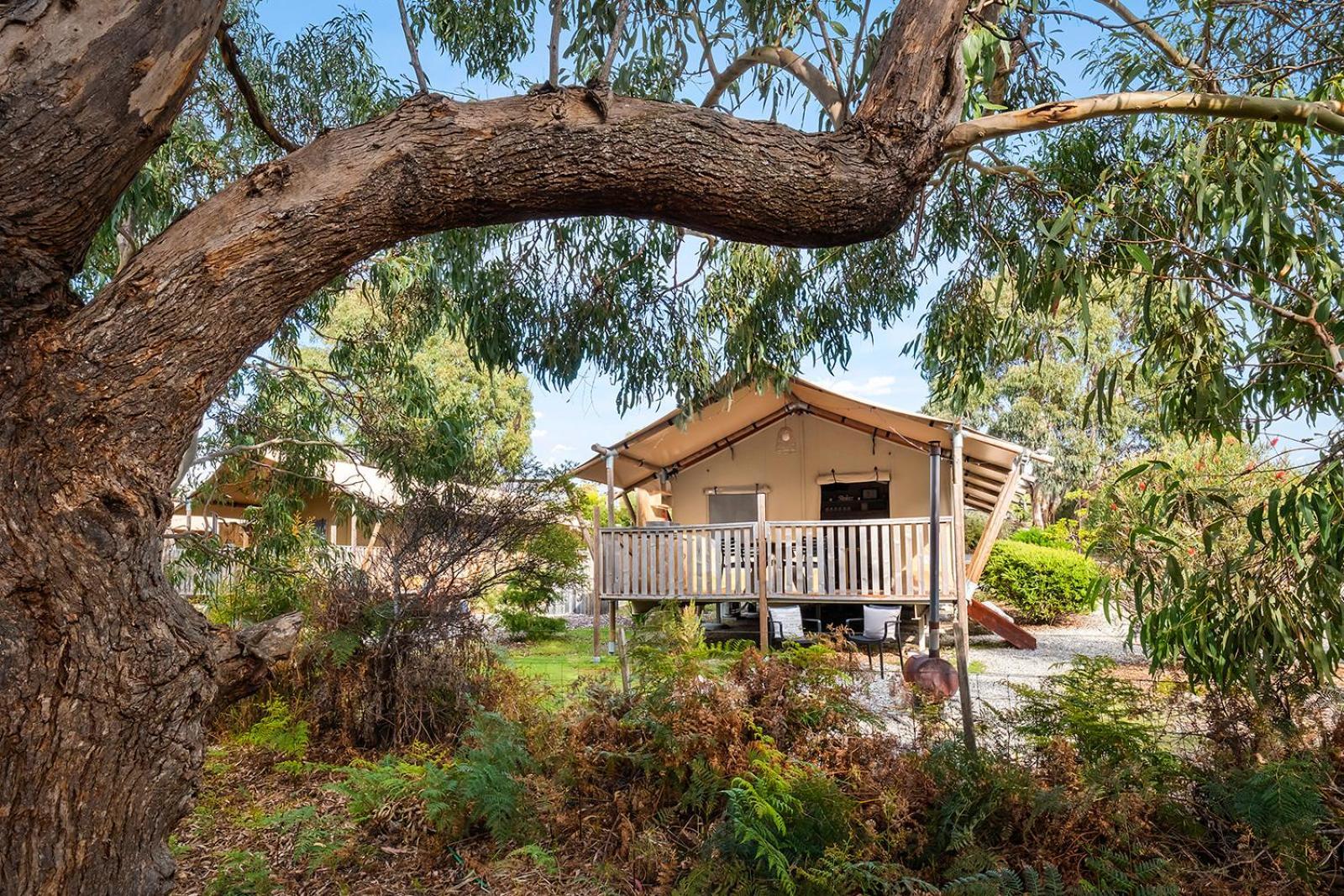 Scamander Sanctuary Holiday Park Buitenkant foto